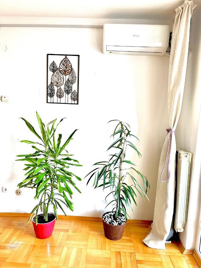 Vintage Bucharest Apartment Экстерьер фото